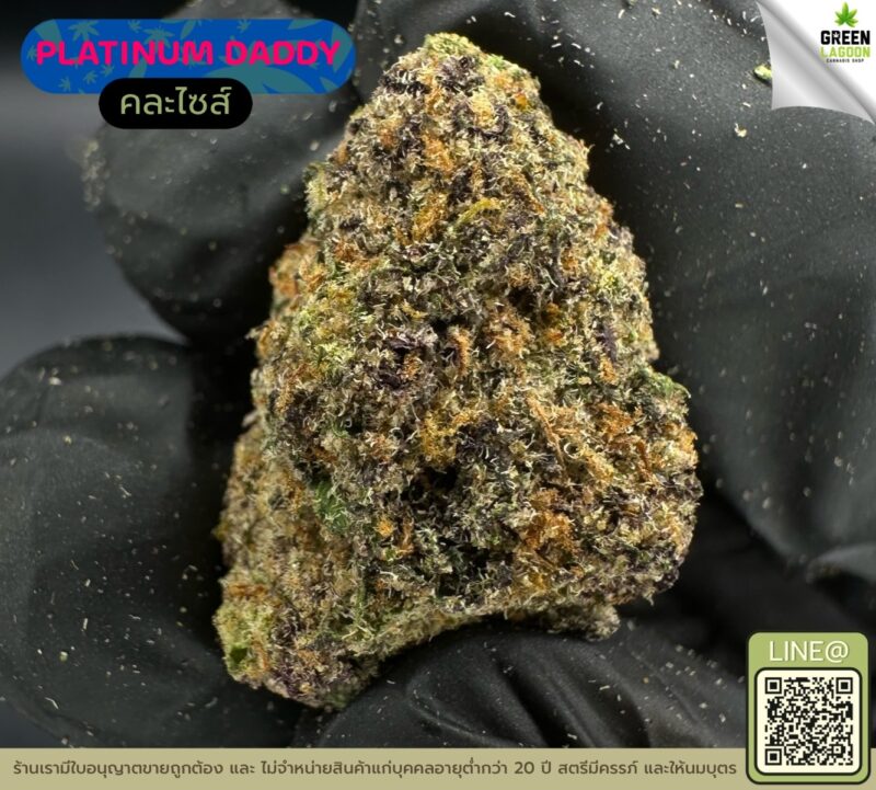 Platinum daddy