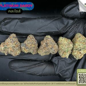 Platinum daddy