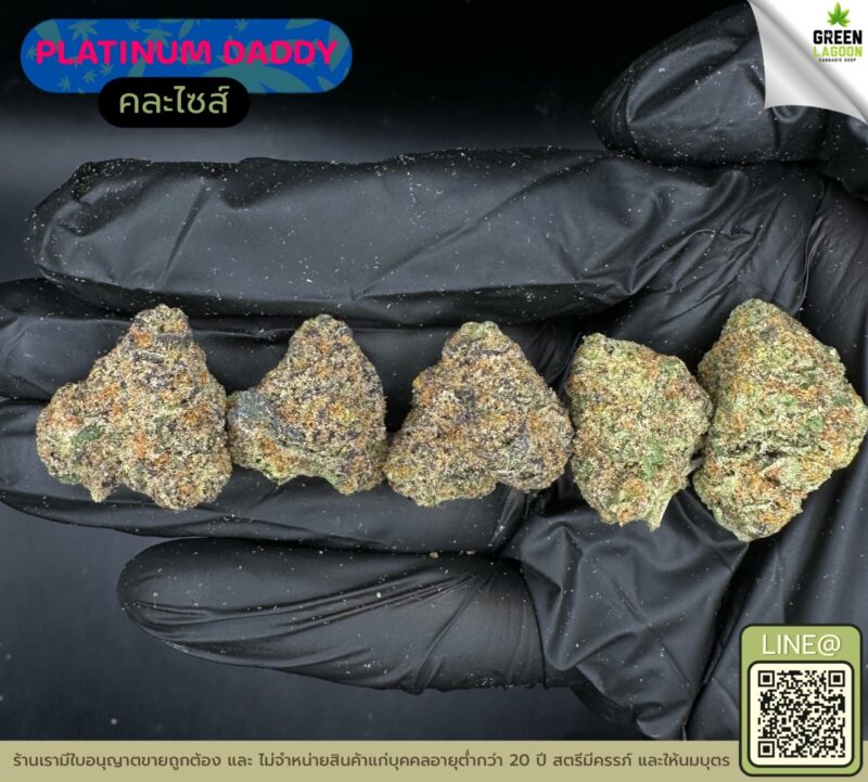 Platinum daddy