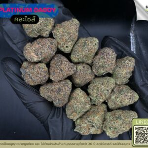 Platinum daddy