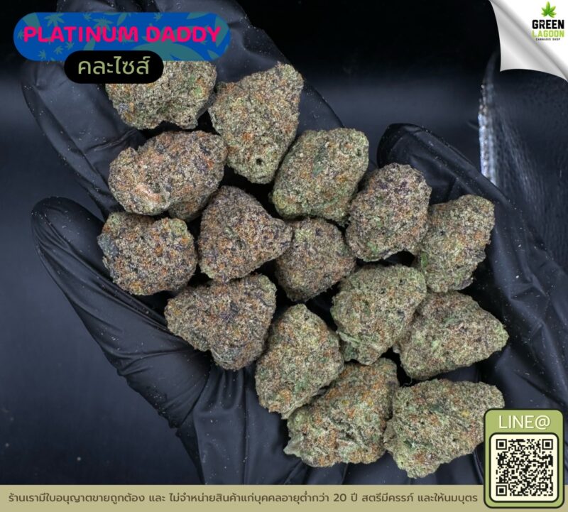 Platinum daddy