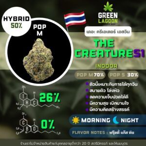 The creature S1