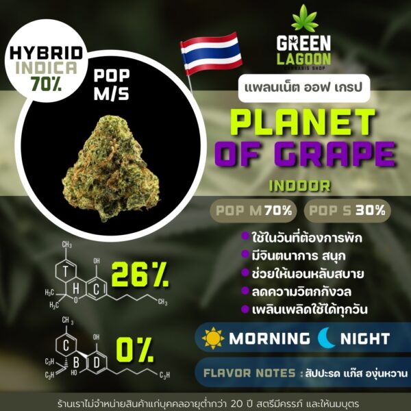 Planet of grape