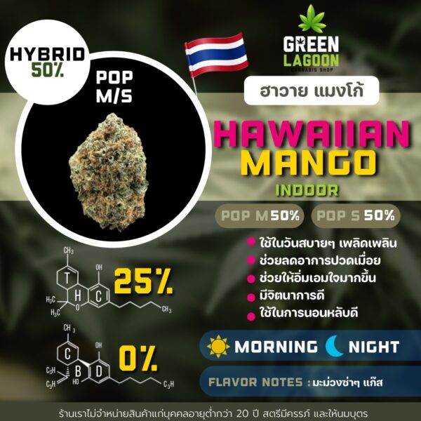 Hawaiian mango