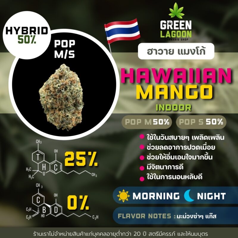 Hawaiian mango