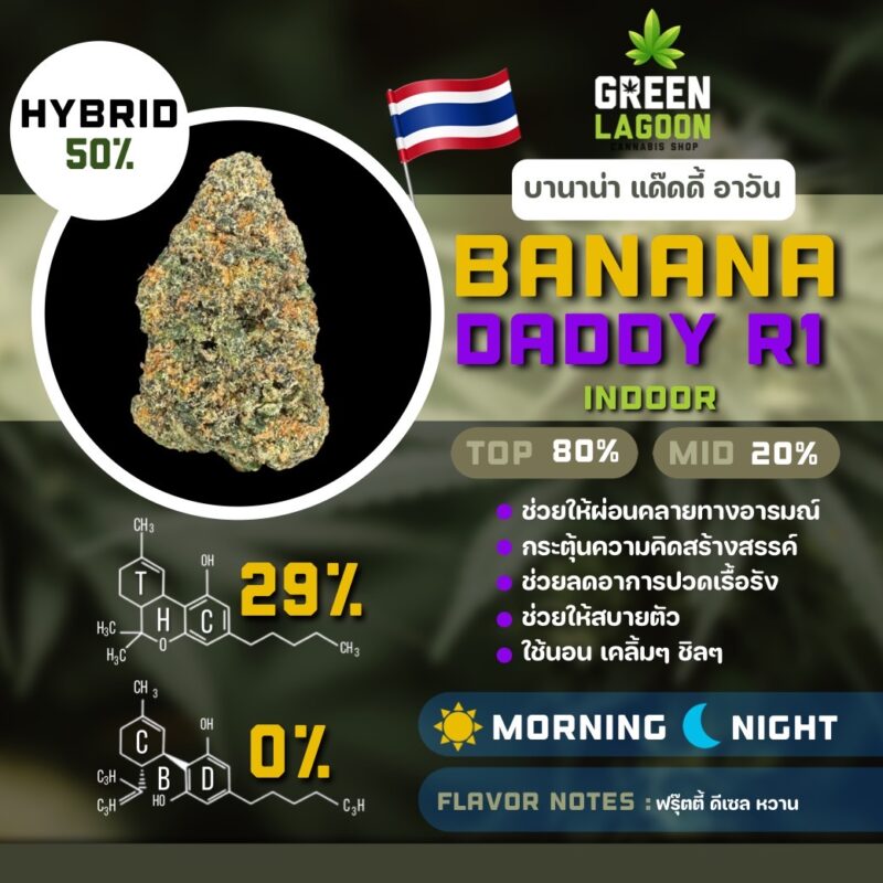 Banana daddy R1