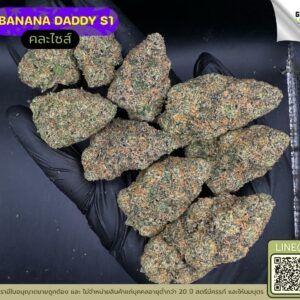 Banana daddy R1
