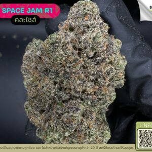 Space jam R1