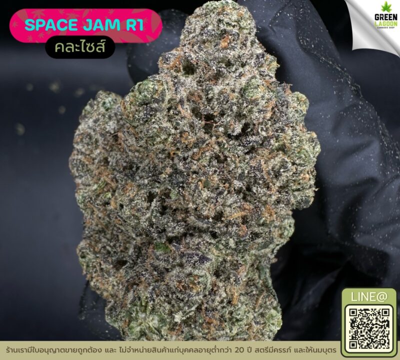 Space jam R1