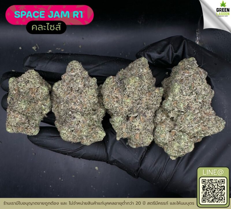 Space jam R1