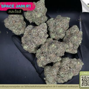Space jam R1