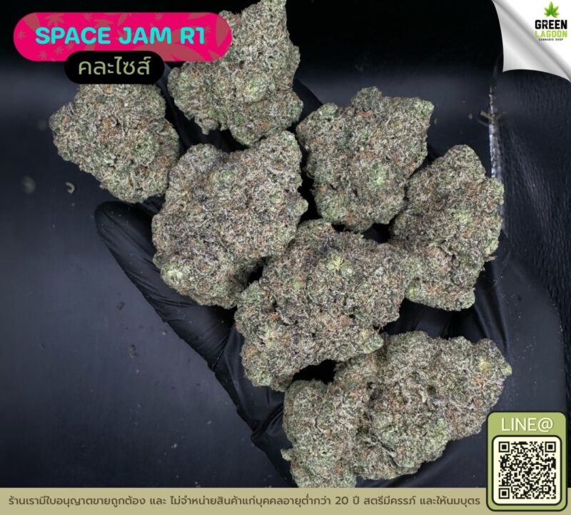 Space jam R1