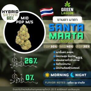 Santa marta