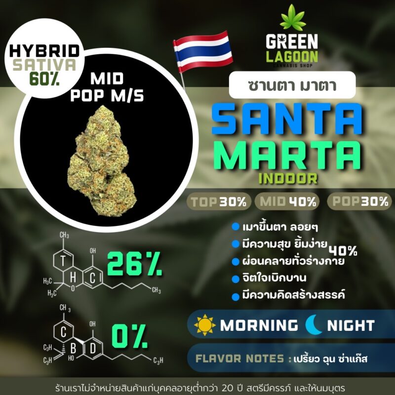 Santa marta