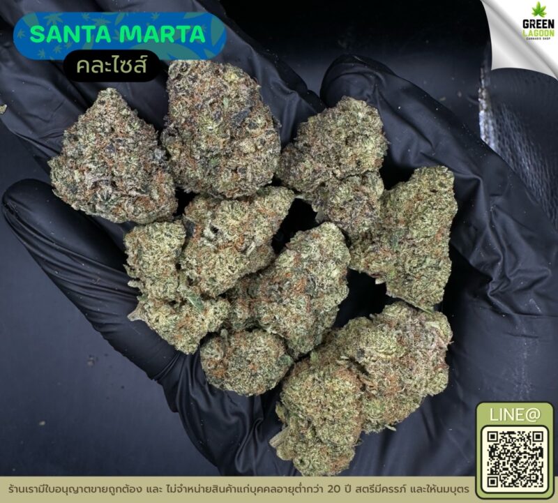 Santa marta