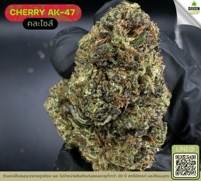 Cherry AK-47