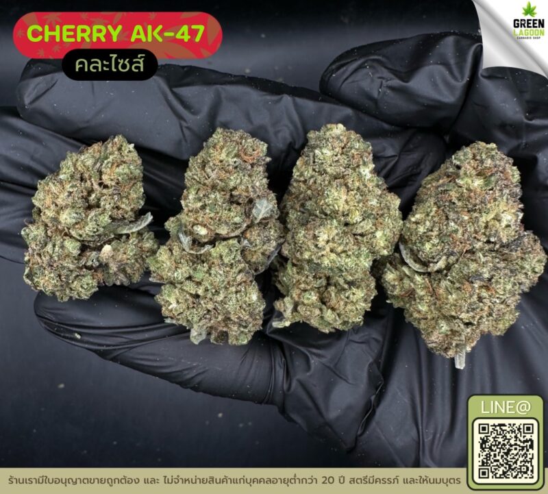 Cherry AK-47