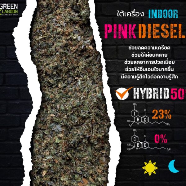 ใบทริม Pink diesel (indoor)
