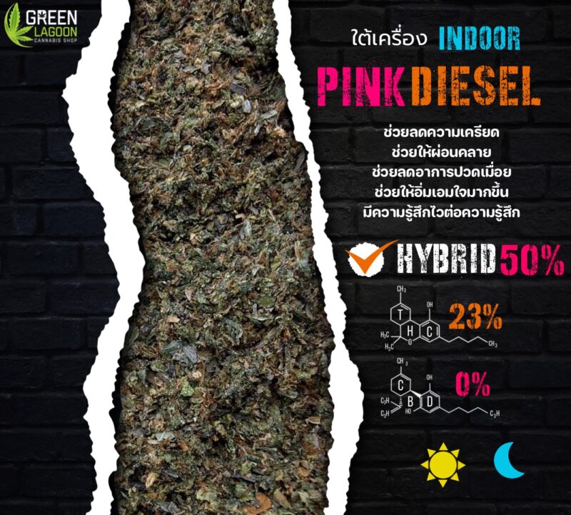ใบทริม Pink diesel (indoor)