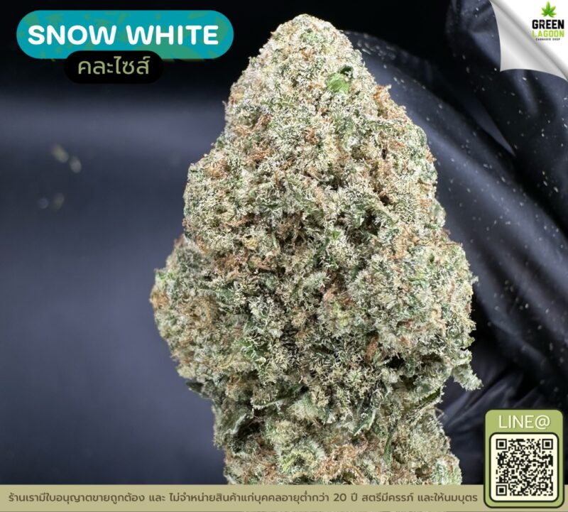 Snow white