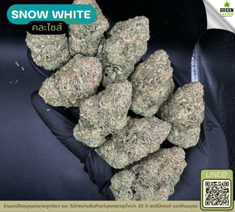 Snow white