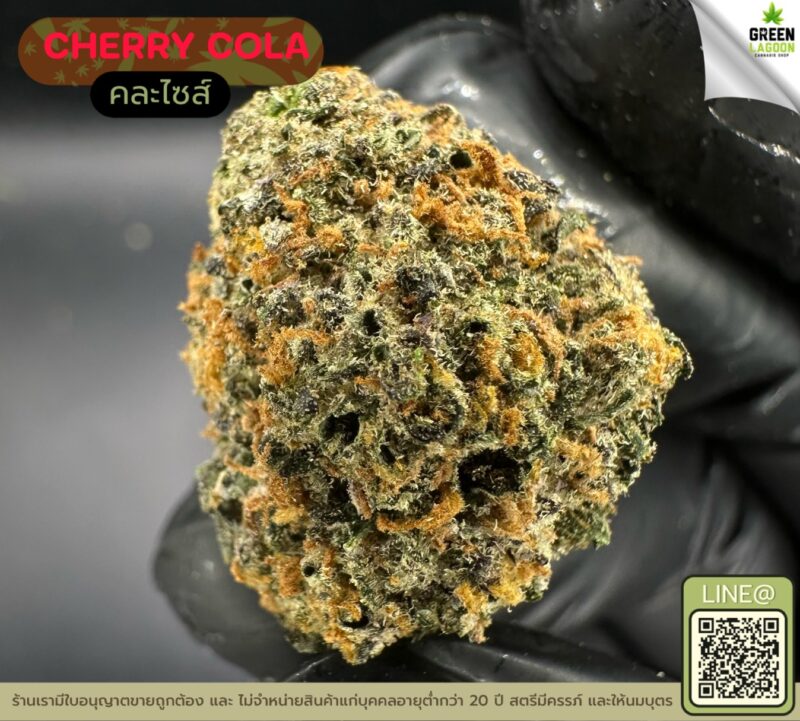 Cherry cola