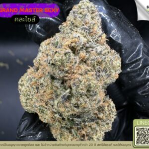 Grand master sexy