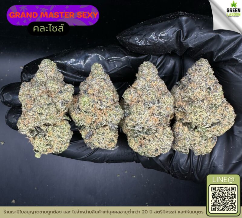 Grand master sexy