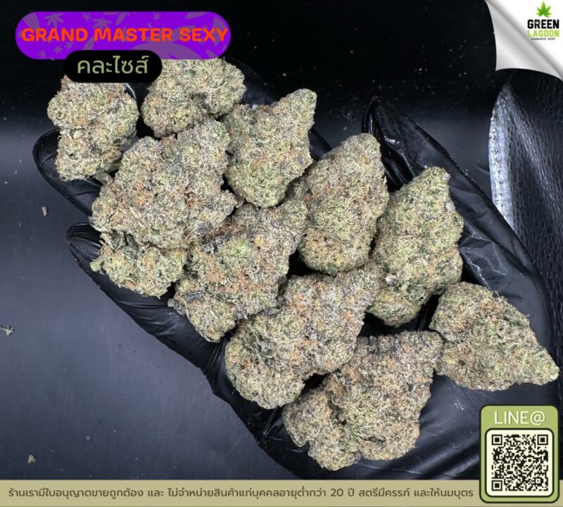 Grand master sexy