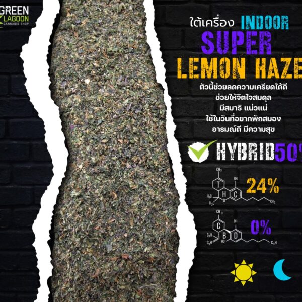 ใบทริม Super lemon haze (indoor)