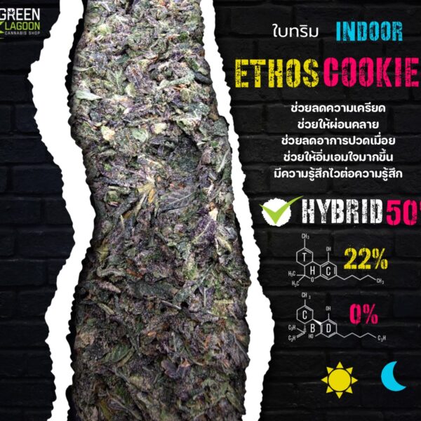 ใบทริม Ethos cookie (indoor)