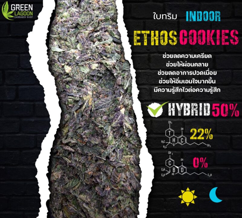ใบทริม Ethos cookie (indoor)