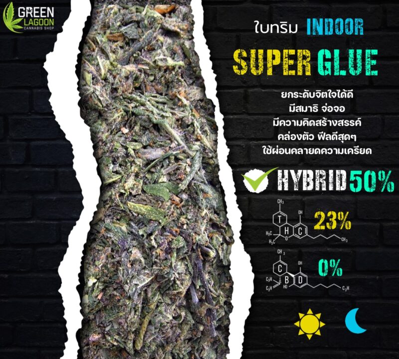 ใบทริม Super glue (indoor)