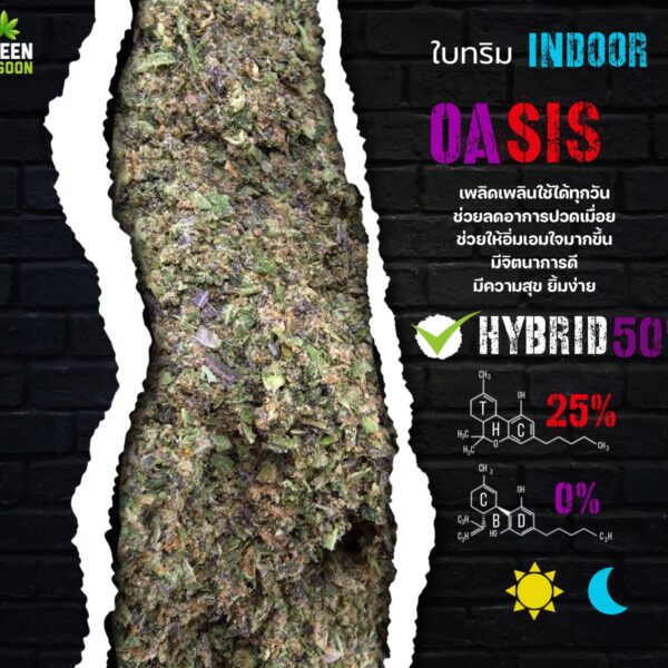 ใบทริม Oasis (indoor)