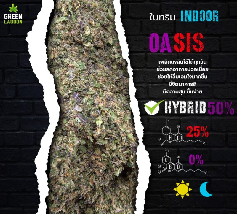 ใบทริม Oasis (indoor)