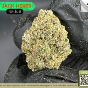 Jack herer