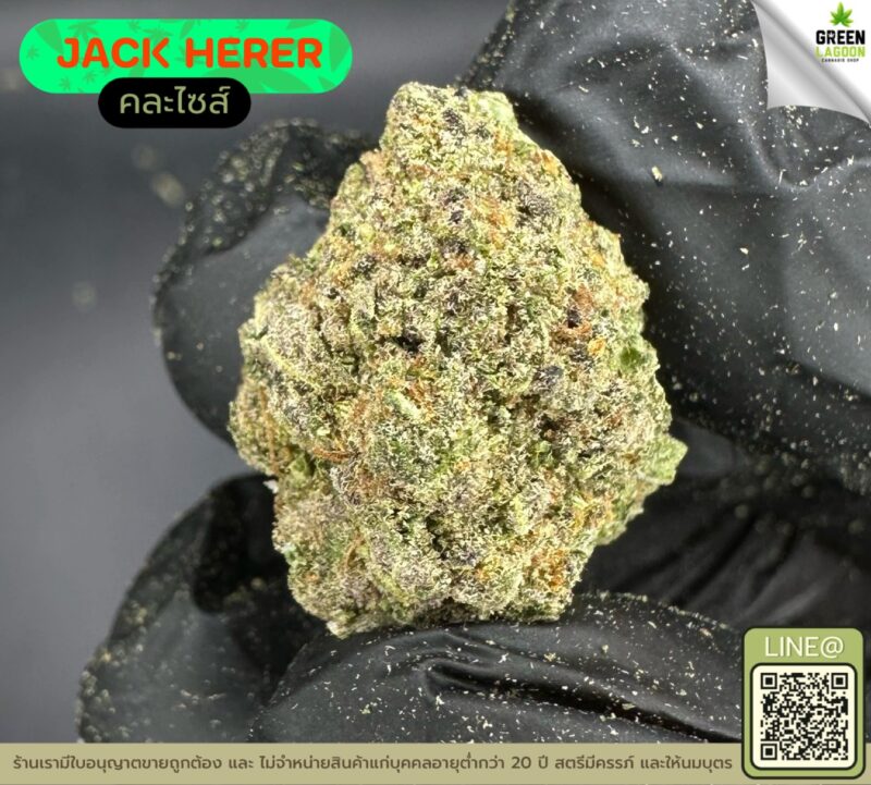 Jack herer