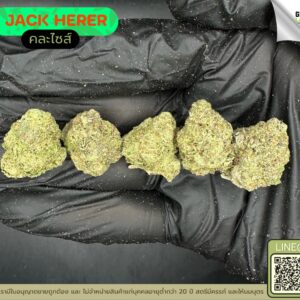 Jack herer