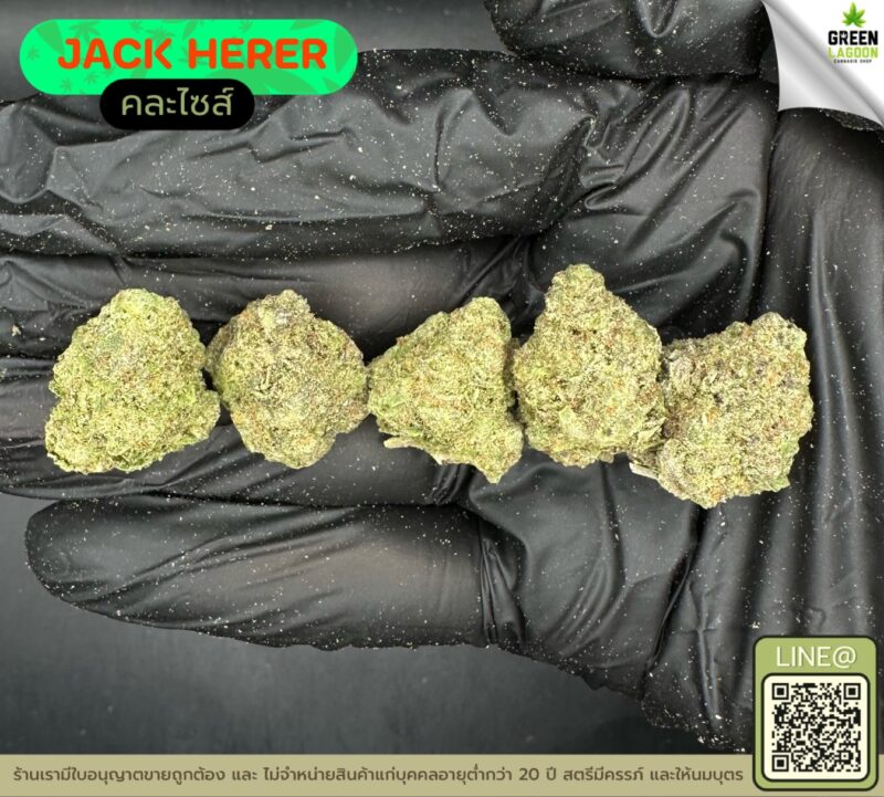 Jack herer