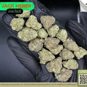 Jack herer