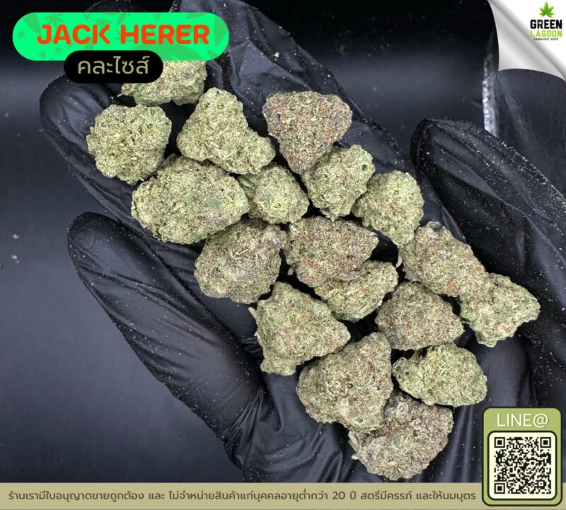 Jack herer