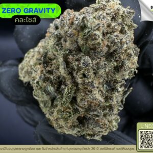 Zero gravity