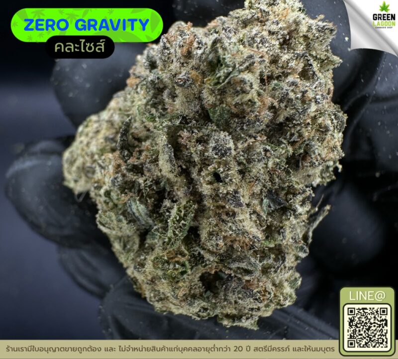 Zero gravity
