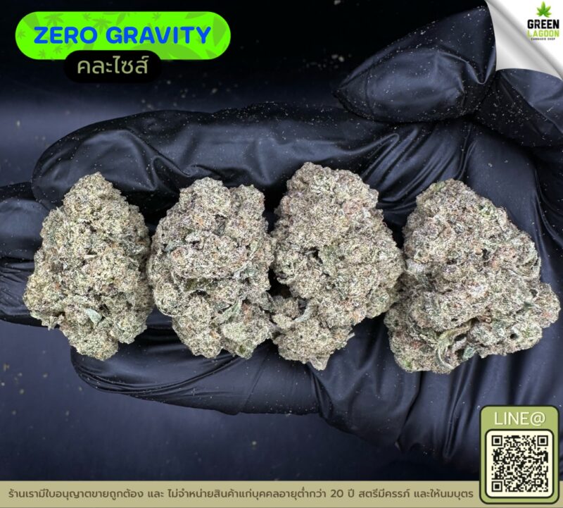 Zero gravity