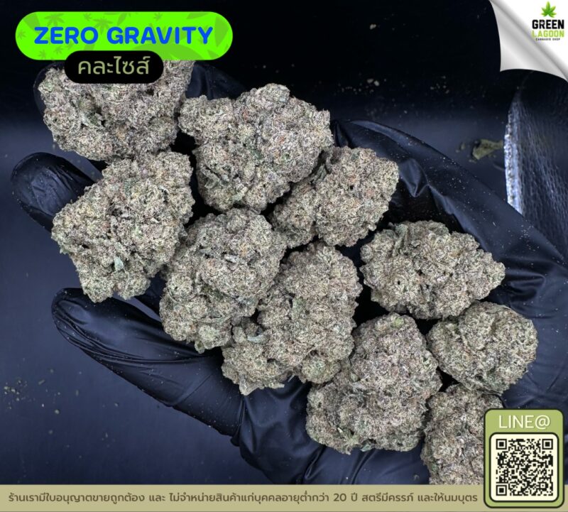 Zero gravity