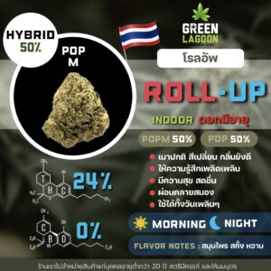 Roll up (งานมีอายุ)