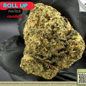 Roll up (งานมีอายุ)