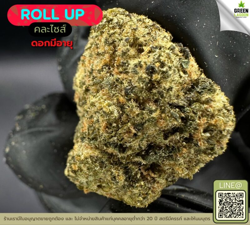 Roll up (งานมีอายุ)