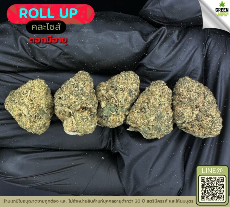 Roll up (งานมีอายุ)