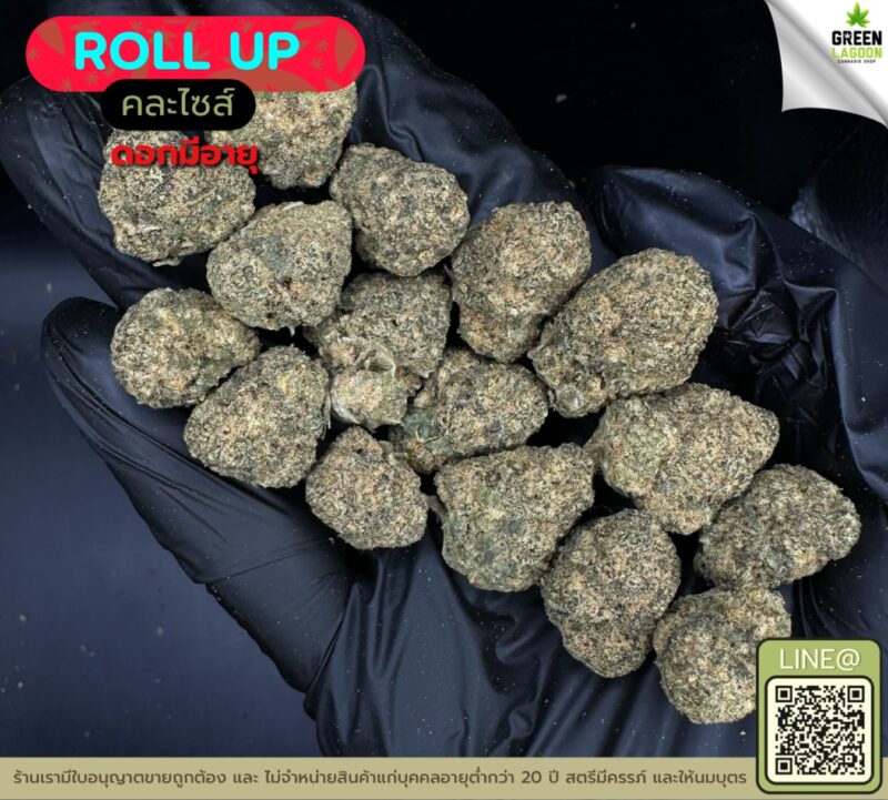 Roll up (งานมีอายุ)
